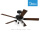 Ceiling Fan